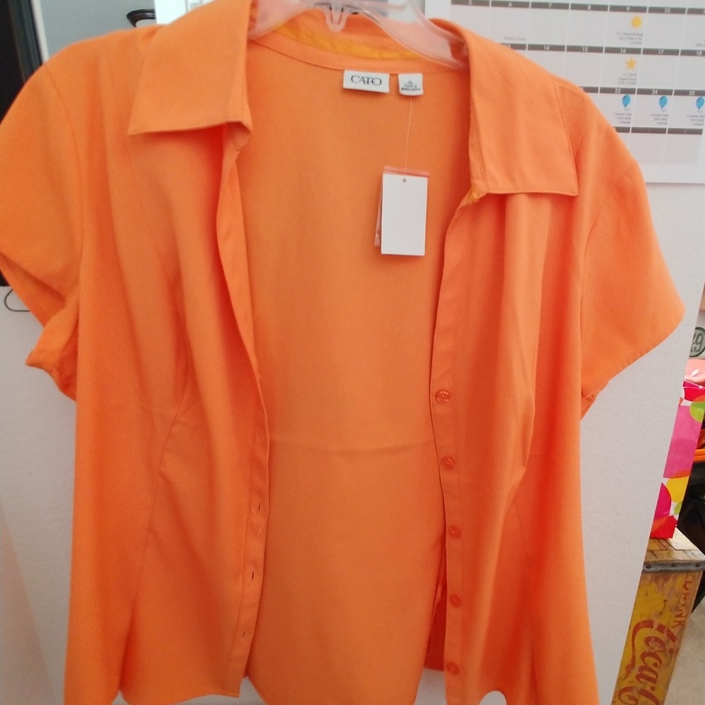 Cato Blouse